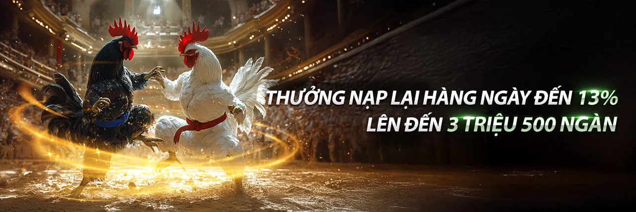Trận đá gà hôm qua tại gasv388